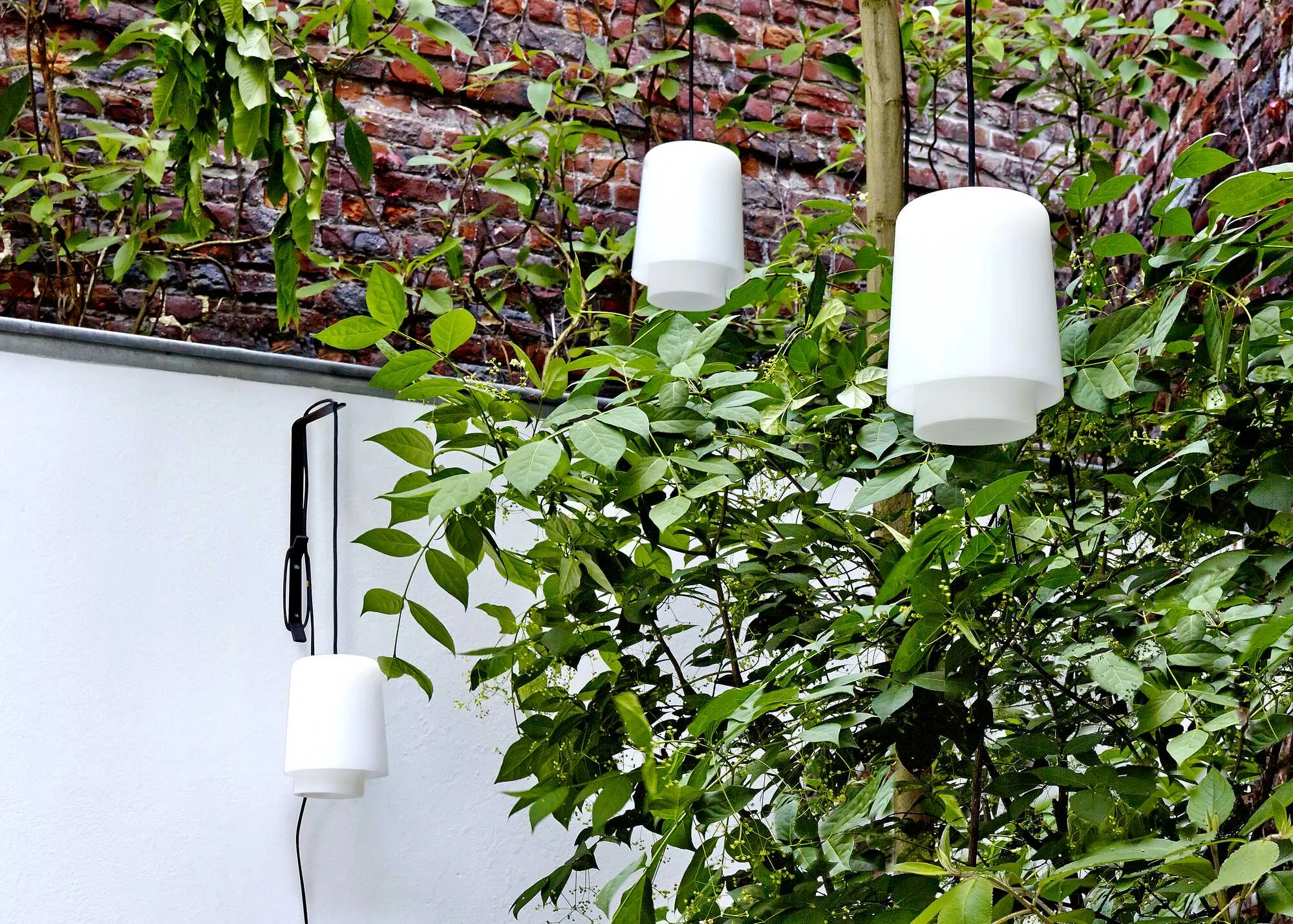 Ariane Out Wall Hook