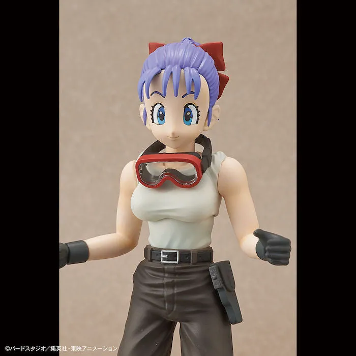 FR - Bulma's Variable No.19 Motorcycle