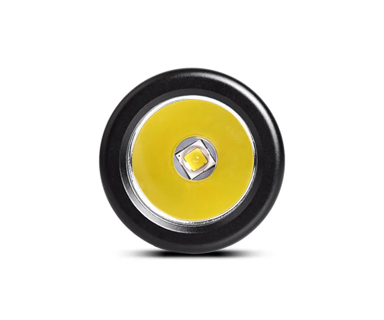 OrcaTorch - D520