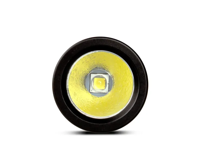 OrcaTorch D560